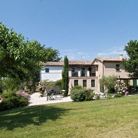 Vigna Sant' Amico Country House Morro d'Alba ภายนอก รูปภาพ