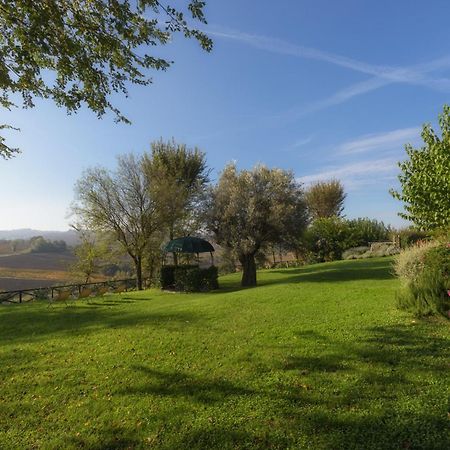 Vigna Sant' Amico Country House Morro d'Alba ภายนอก รูปภาพ