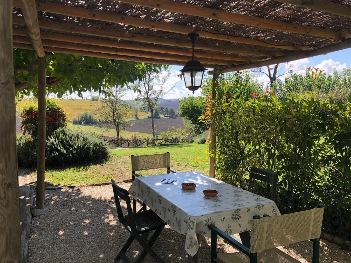 Vigna Sant' Amico Country House Morro d'Alba ภายนอก รูปภาพ