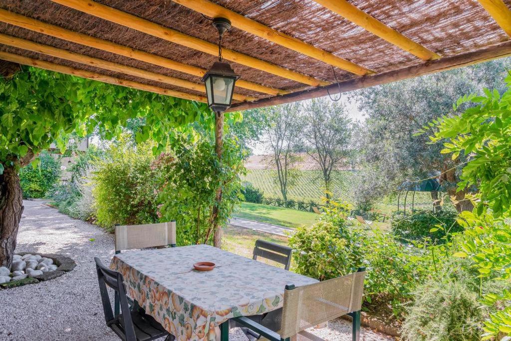Vigna Sant' Amico Country House Morro d'Alba ภายนอก รูปภาพ