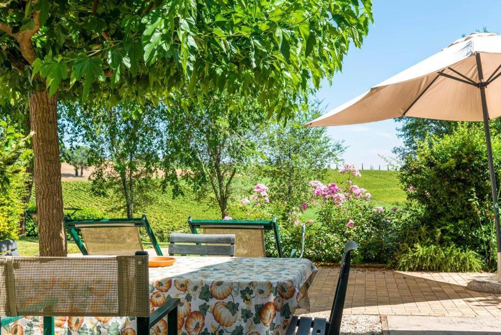 Vigna Sant' Amico Country House Morro d'Alba ภายนอก รูปภาพ