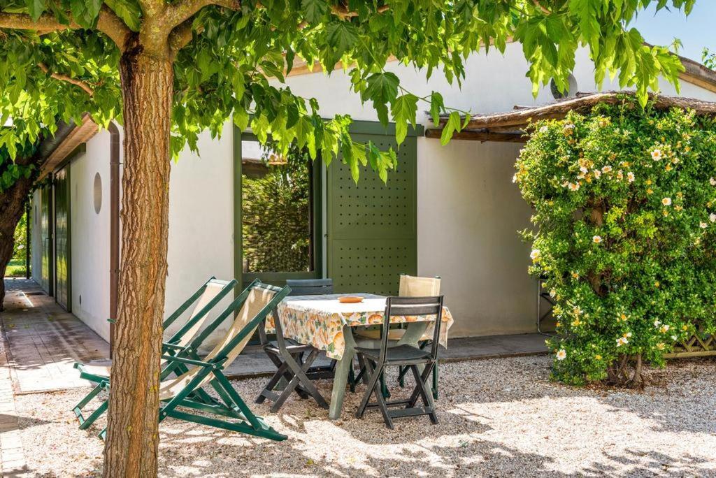 Vigna Sant' Amico Country House Morro d'Alba ภายนอก รูปภาพ