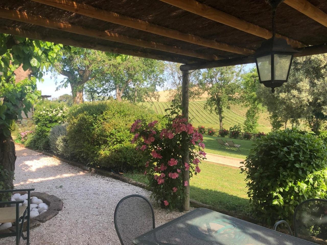 Vigna Sant' Amico Country House Morro d'Alba ภายนอก รูปภาพ
