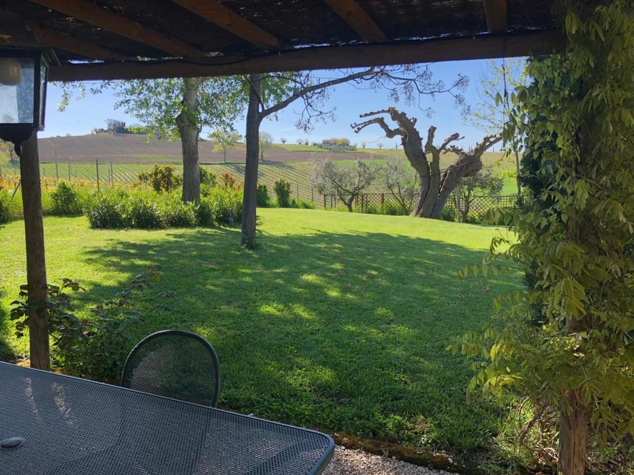Vigna Sant' Amico Country House Morro d'Alba ภายนอก รูปภาพ