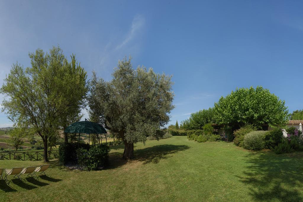 Vigna Sant' Amico Country House Morro d'Alba ภายนอก รูปภาพ