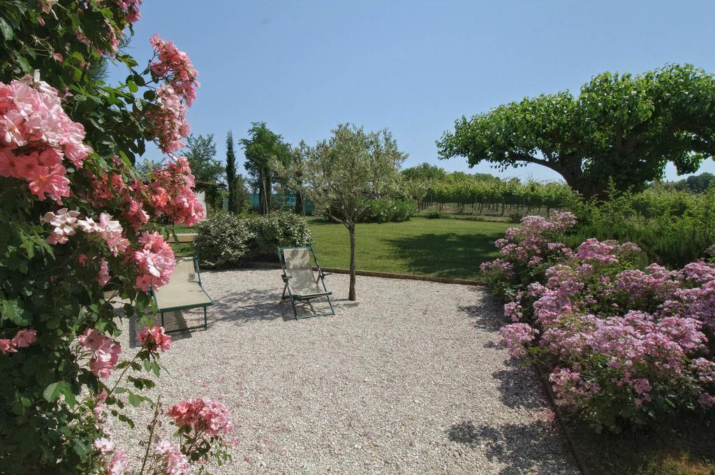 Vigna Sant' Amico Country House Morro d'Alba ภายนอก รูปภาพ