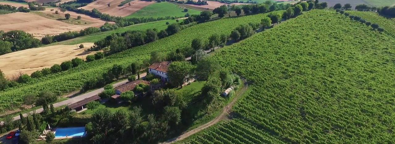 Vigna Sant' Amico Country House Morro d'Alba ภายนอก รูปภาพ